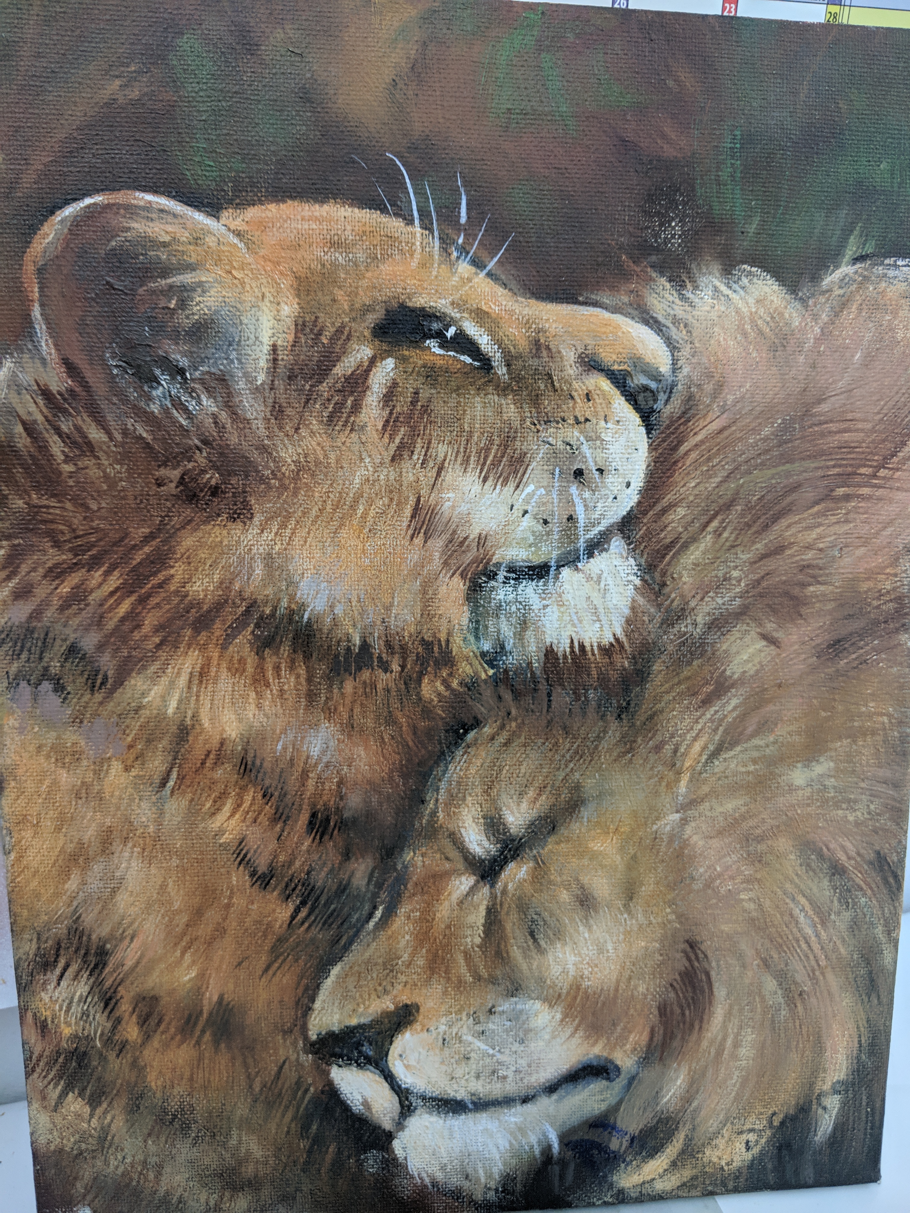 lion pair